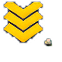 Level 12